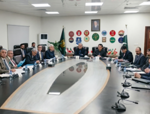 Federal Interior Minister Mohsin Naqvi